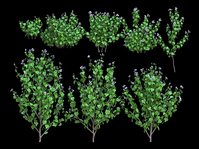 Various Green Leaf Shrubs With White Flowers For Landscaping And Garden Use 3d model