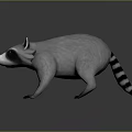 Realistic 3D Raccoon Model With Gray Fur And Detailed Features Rendering