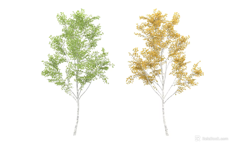 Two Arbor Trees With Green And Golden Yellow Leaves White Trunks In Contrasting Colors 3d model 