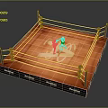 Professional Boxing Ring Sports Equipment With Boxers Ropes And Everlast Branding