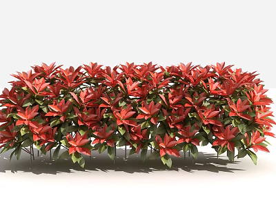 Vibrant Red Flower Blooms With Lush Green Leaves In Garden Landscape 3d model