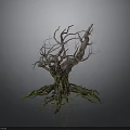 Withered Tree With Dry Trunk Branches And Green Mossy Roots On Dark Background