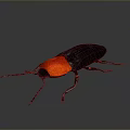 Distinctive Beetle With Bright Red Head And Shiny Black Body On Gray Gradient Background