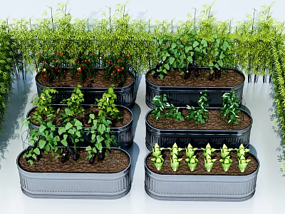modern vegetable crops 3d model