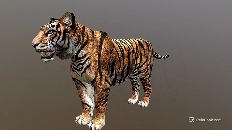 Realistic Tiger 3D Model Featuring Striped Fur And Standing Posture 3d model