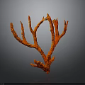 Red Coral Decorative Piece Displaying Branched Structure Against Dark Background