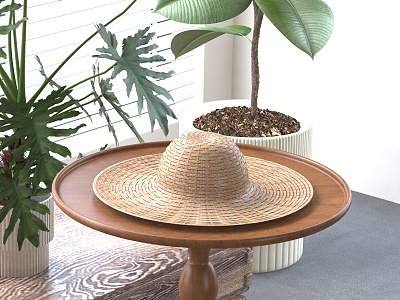 Rattan Hat Straw Hat 3d model