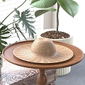 Rattan Hat Straw Hat 3d model