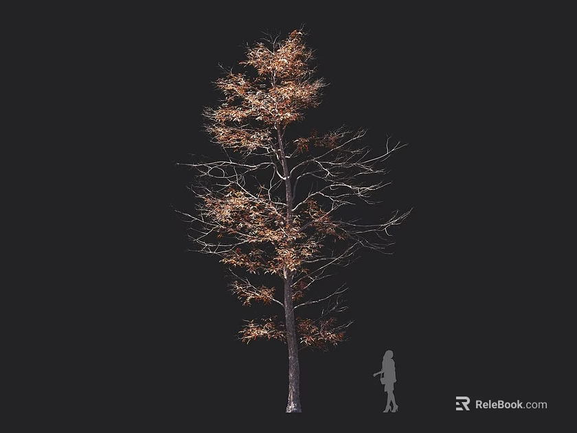 Tall Arbor With Dry Yellow Leaves And Bare Branches Beside Person Silhouette 3d model 