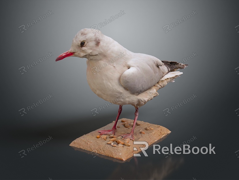 bird bird bird bird game animal cartoon animal animal realistic animal model