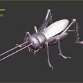 Realistic 3D Model Cricket With Blue Body Long Antennae And Textured Wings 3d model