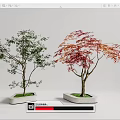 Modern Tree Landscape Tree 3d model