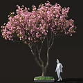 Beautiful Arbor Featuring Pink Blossoms And White Statue On Green Lawn Area