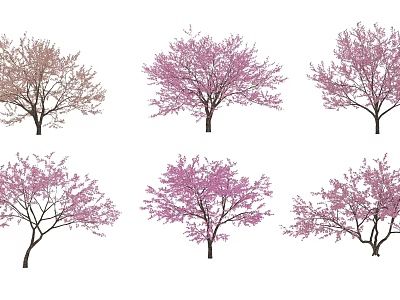 Vibrant Pink Flowering Trees With Lush Blooms In Various Garden Landscapes 3d model