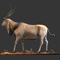 Modern antelope animals 3d model