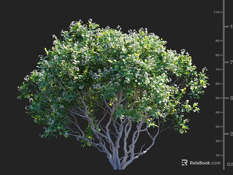 Lush Green Arbor With White Small Flowers And Multiple Branches 3d model