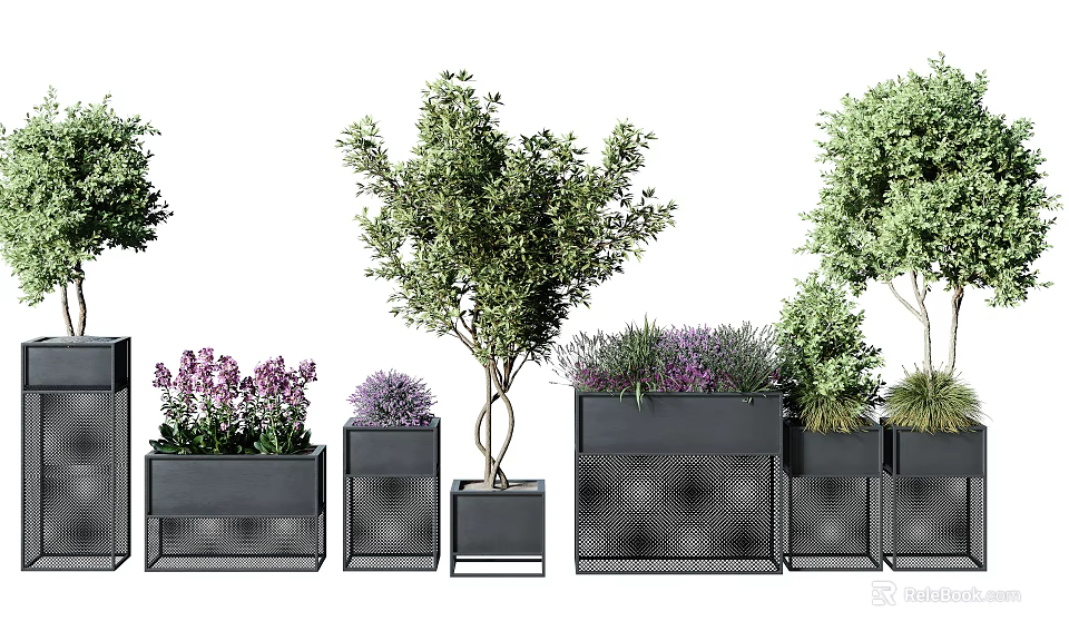 Bonsai Potted Plants With Black Metal Grid Planters Olive Tree And Purple Flowers 3d model 