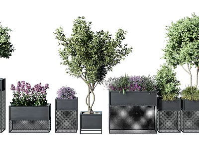 Bonsai Potted Plants With Black Metal Grid Planters Olive Tree And Purple Flowers 3d model
