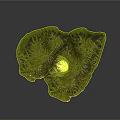 Modern Green Mountain Terrain Model with Detailed Topographic Texture
