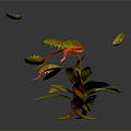 Vibrant Tropical Carnivorous Plant Featuring Orange Pitchers Yellow Lids And Green Leaves