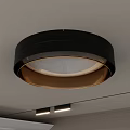 Modern Round Ceiling Light With Black Frame And White Illuminated Center 3d model