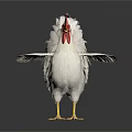 White Rooster With Red Comb And Wattles Standing On White Background