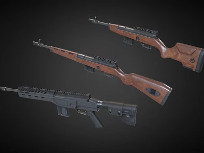 Various Types of Tactical Rifles with Wooden Stocks and Black Metal Components 3d model