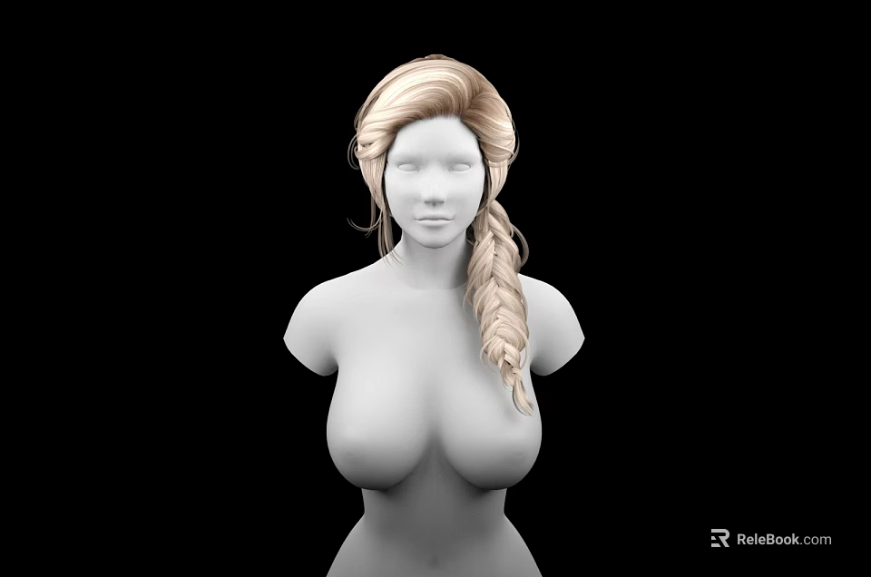 Female Game Movie Character 3D Model With Blonde Braided Hair And Upper Body 3d model 