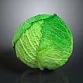 Fresh Green Cabbage With Prominent Veined Texture On Dark Background And Reflection 3d model