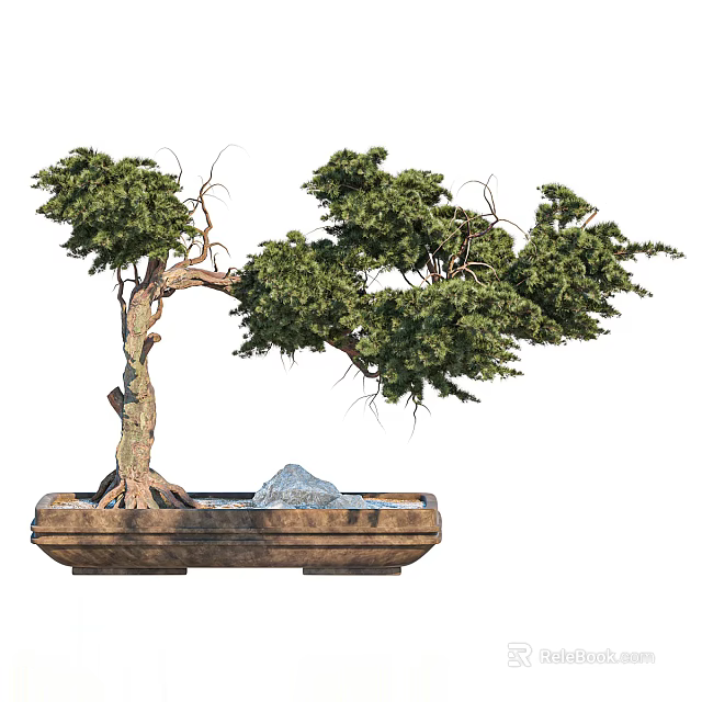 Lush Green Bonsai Tree With Twisted Trunk In Wooden Rectangular Pot And Decorative Stones 3d model 