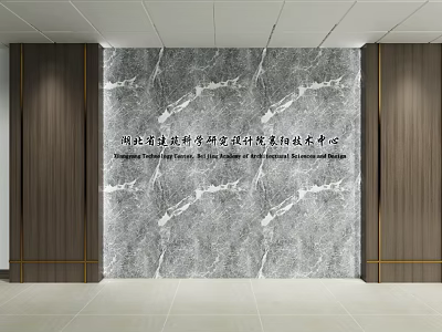Modern Marble Feature Wall Design With Wooden Side Panels And Metal Accents 3d model