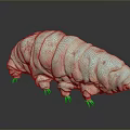 Green and Pink Spotted Tardigrade 3D Model With Legs Claws Gray Background Reflection 3d model