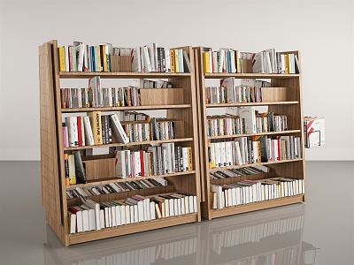 Modern Bookshelf Library Bookcase Books model