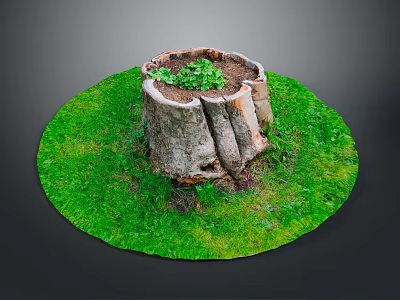 Wooden Tree Stump Surrounded By Circular Green Grass With Small Plants Growing 3d model