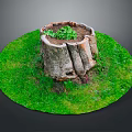 Wooden Tree Stump Surrounded By Circular Green Grass With Small Plants Growing