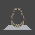 Detailed Shark Jawbone Display With Sharp Teeth And Anatomical Structure 3d model