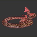 Modern snake python reptile cold-blooded animal 3d model