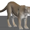 Realistic 3D Puma Model Rendered With Detailed Fur And Standing Pose 3d model