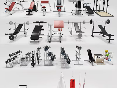 Diverse Collection of Sports Equipment Including Fitness Benches Dumbbells Barbells and Punching Bags 3d model