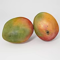 Two Fresh Mangoes With Yellow And Red Skin On White Background