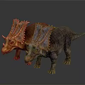 Two Vibrant Triceratops Dinosaurs With Colorful Frills And Textured Skin