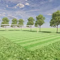 Outdoor Sports Fitness Training Space With Green Grass Field And Soccer Goal