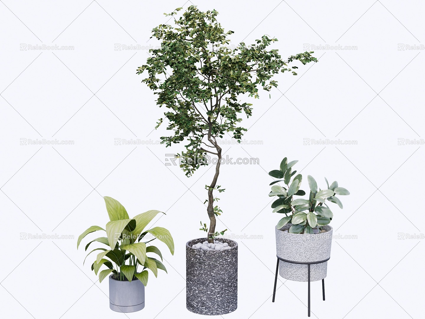 indoor potted plant 3d model