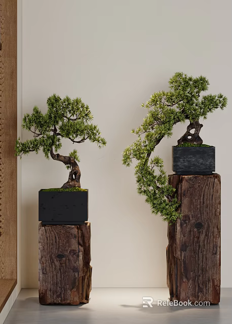Elegant Bonsai Trees With Curved Trunks Green Foliage In Black Square Pots On Wooden Stands 3d model 