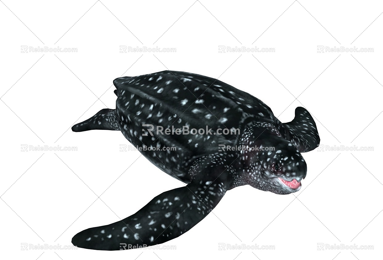 PBR leatherback turtle turtle turtle giant turtle reptile leather turtle seven leatherback turtle sampan turtle swallow turtle with animated 2016443911 3d model