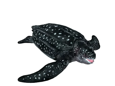 PBR leatherback turtle giant turtle reptile leather turtle seven leatherback turtle sampan turtle swallow turtle with animated 2016443911 3d model
