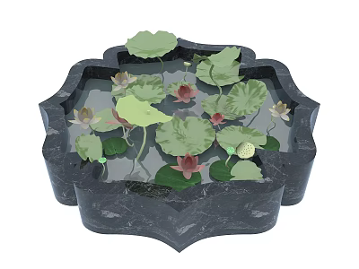 Beautiful Water Lily and Lotus Leaf in Black Stone Basin with Water 3d model