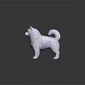 White Akita Dog 3D Rendered Model Standing With Curled Tail On Black Surface