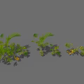 Lush Green And Yellow Palm Leaves With Vibrant Foliage And Natural Shadows