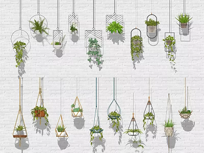 Various Hanging Potted Plants For Indoor Decor On White Wall With Stylish Planters 3d model